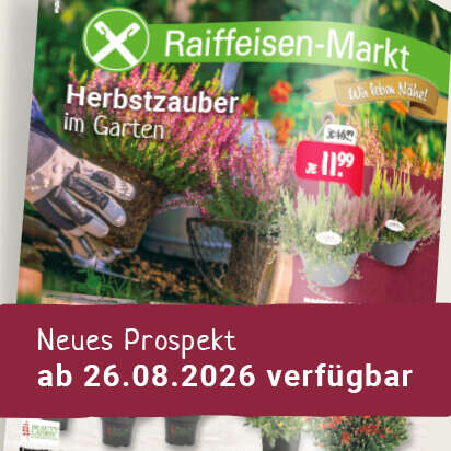 prospekt september datum